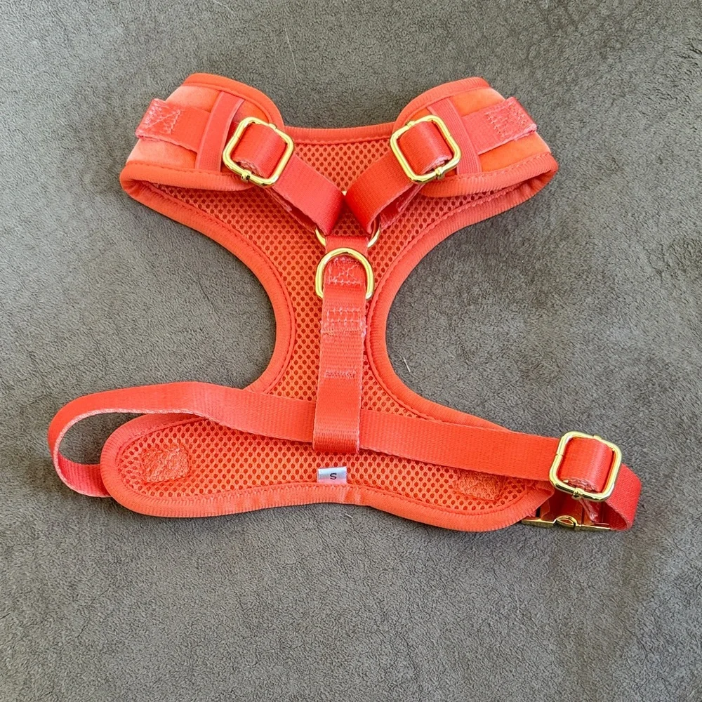 Coral Embroidered Dog Harness Leash Collar Set Gold Orange pink surfer beach fun